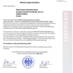 Klucz oczkowy nieiskrzący do pobijania CU-BE 17 mm BAHCO (nr kat. NSB104-17)